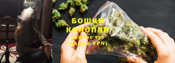 гашик Волосово