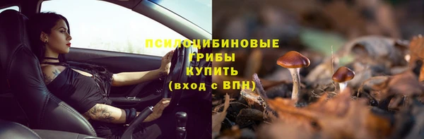 гашик Волосово