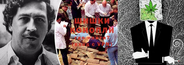 гашик Волосово