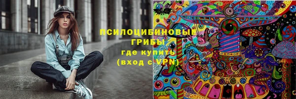 гашик Волосово