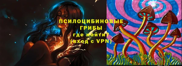 гашик Волосово