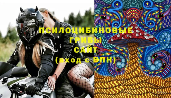 гашик Волосово