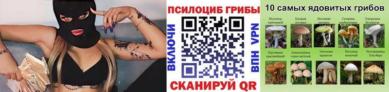 Псилоцибиновые грибы прущие грибы  Купить где  Тихорецк 